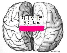 청소하는남자 이미지